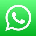 whatsapp download完整版 V2.21.3.19