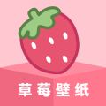 草莓壁纸高清版 V1.7.0